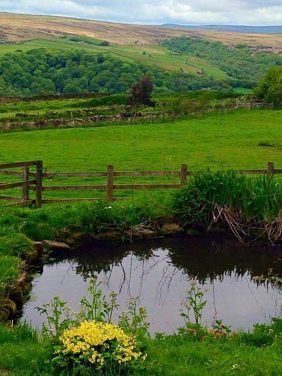 Far Moorside Farm B&B Hebden Bridge Exteriér fotografie